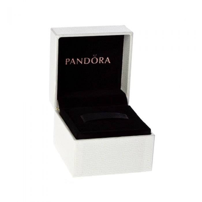 Коробка для шармов Пандора